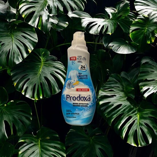 Prodoxa